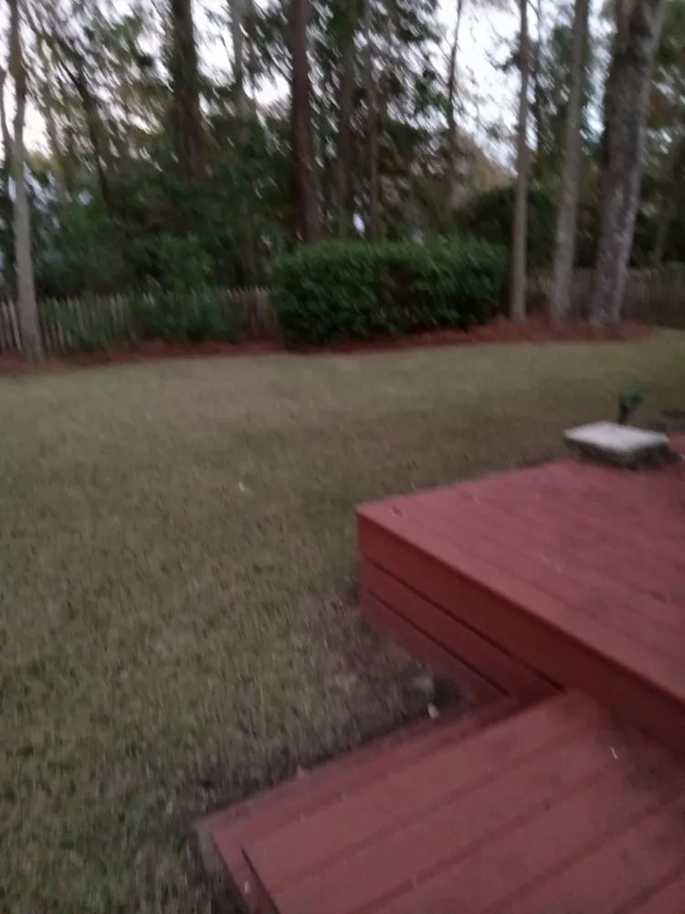 Reliable lawn care service in Summerville, SC by Simmons & Sons