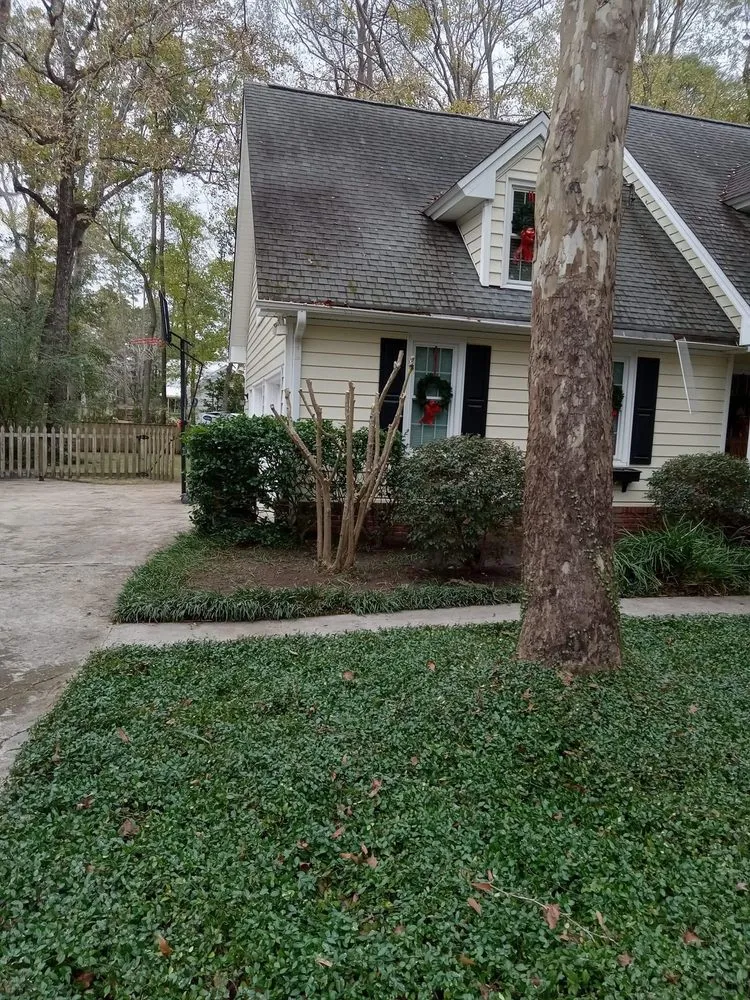 Custom yard cleanup service experts serving Summerville, SC - Simmons & Sons
