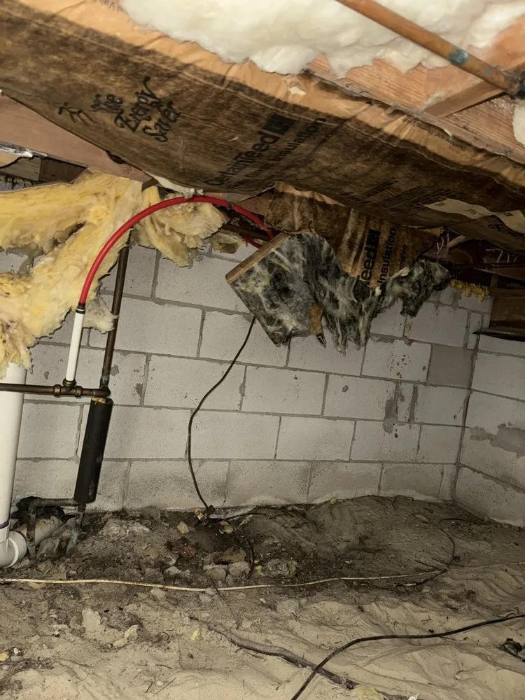 Affordable yard maintenance in Virginia Beach, VA - Simmons Home Services