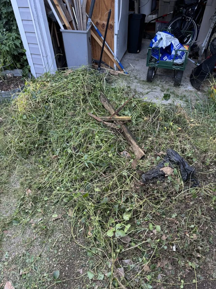 Trusted yard cleanup service in Virginia Beach, VA by Simmons Home Services