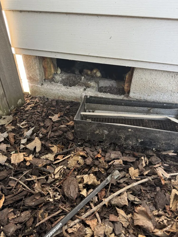 Top-rated lawn mowing service in Virginia Beach, VA - Simmons Home Services