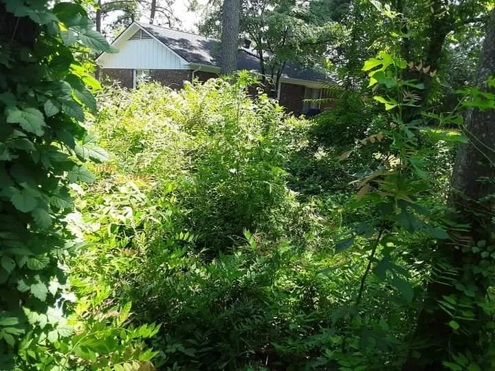 Reliable landscaping services in Stuart, VA - Simmons Landscaping