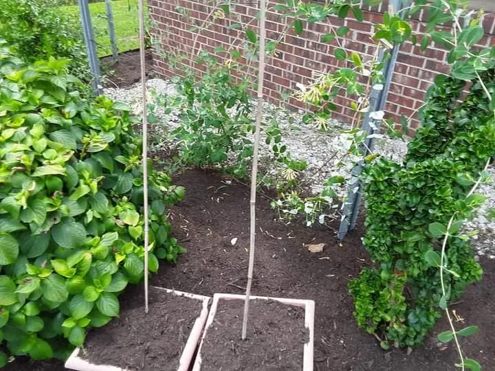 Expert landscape design experts serving Stuart, VA - Simmons Landscaping