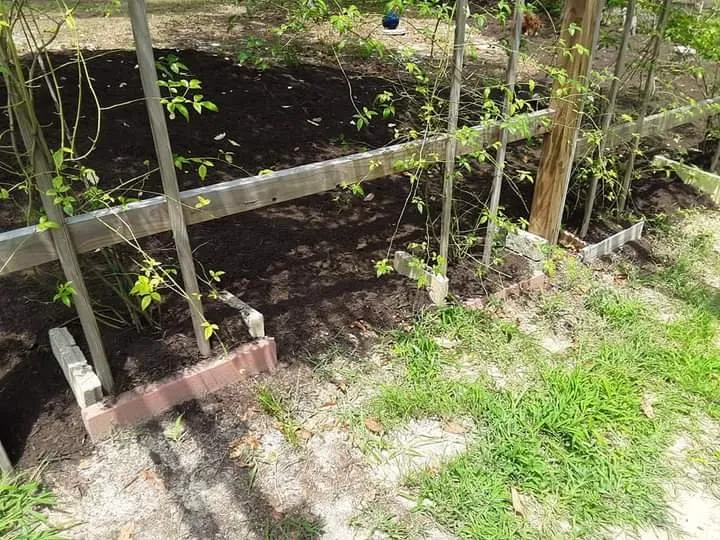 Trusted yard cleanup service in Stuart, VA - Simmons Landscaping