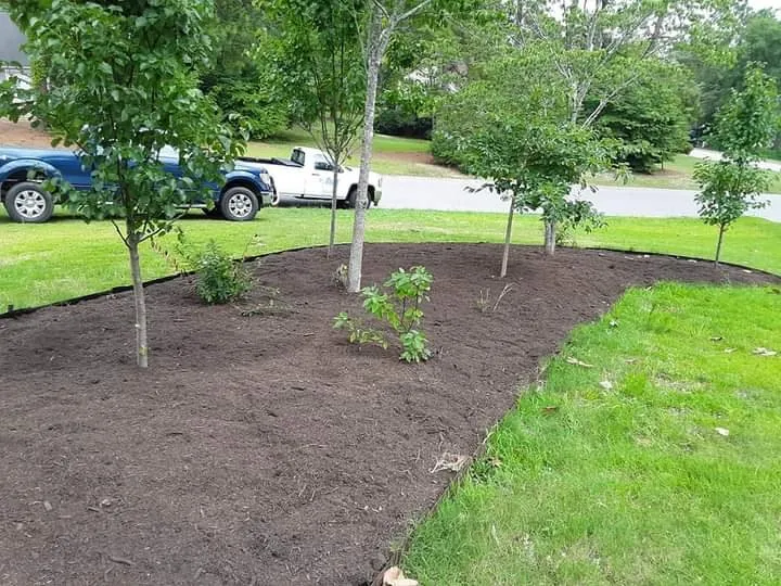 Expert yard maintenance in Stuart, VA - Simmons Landscaping