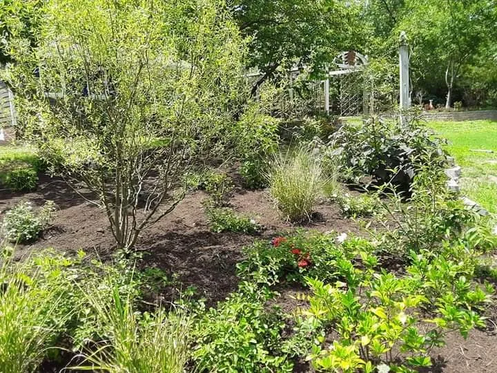 Trusted landscaping services in Stuart, VA by Simmons Landscaping