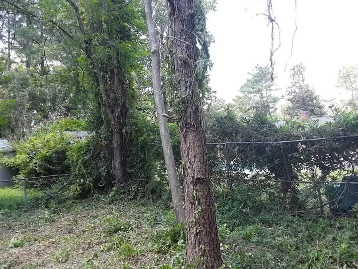 Top-rated yard maintenance for year-round maintenance across Stuart, VA - Simmons Landscaping