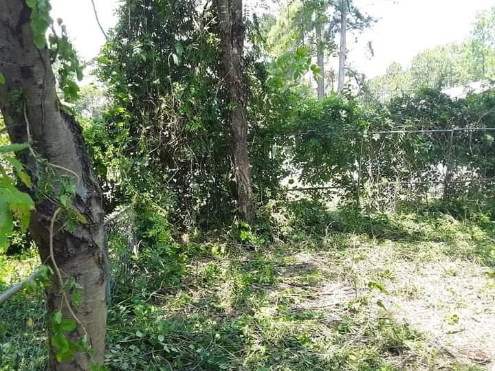 Affordable landscape installation in Stuart, VA by Simmons Landscaping