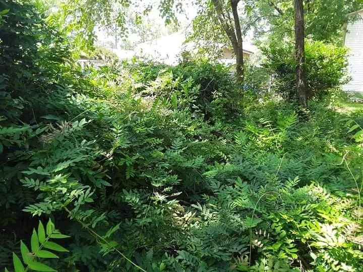 Reliable outdoor landscaping for outdoor upgrades across Stuart, VA - Simmons Landscaping