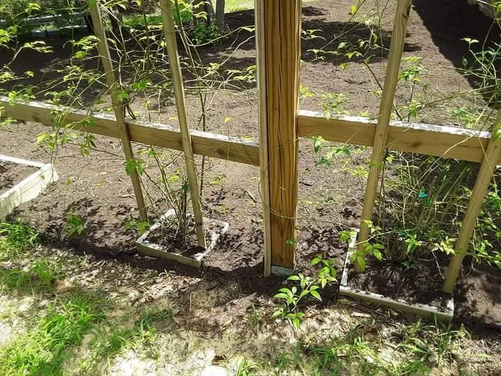 Affordable landscape installation experts serving Stuart, VA - Simmons Landscaping