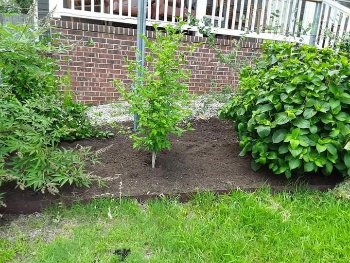 Professional residential landscaping in Stuart, VA by Simmons Landscaping