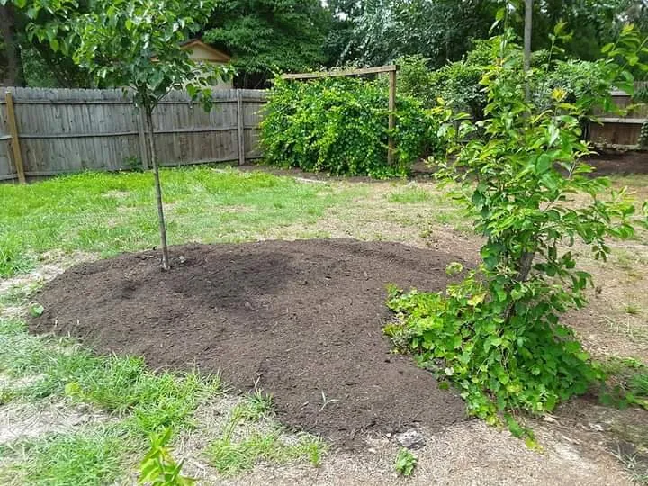 Professional landscape installation for outdoor upgrades across Stuart, VA - Simmons Landscaping