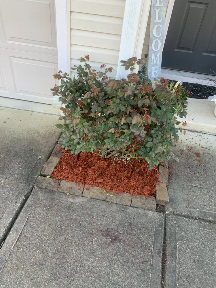 Affordable lawn mowing service for beautiful yards in Summerville, SC by Simmons Landscaping