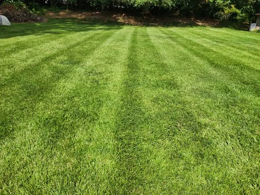 Simmons Lawn Care Logo