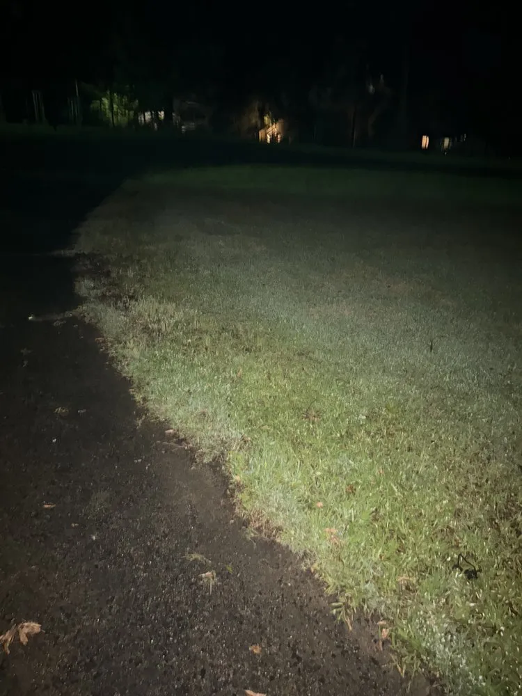 Trusted yard cleanup service experts serving Charlotte, NC - Simmons Lawn Care Solutions