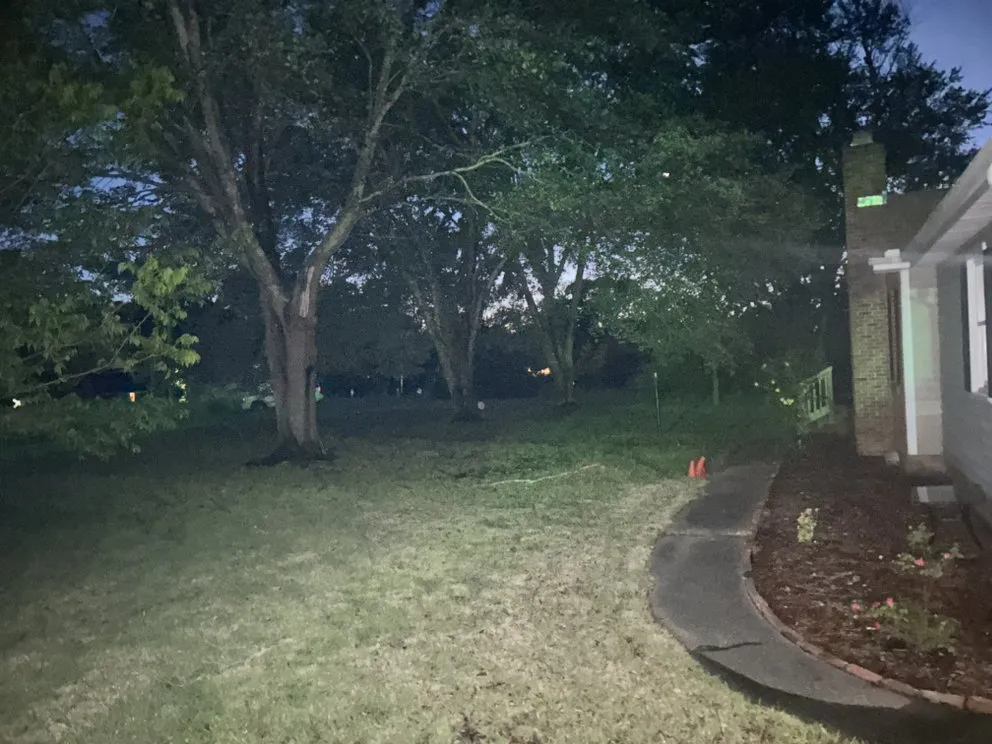 Affordable yard cleanup service in Charlotte, NC by Simmons Lawn Care Solutions