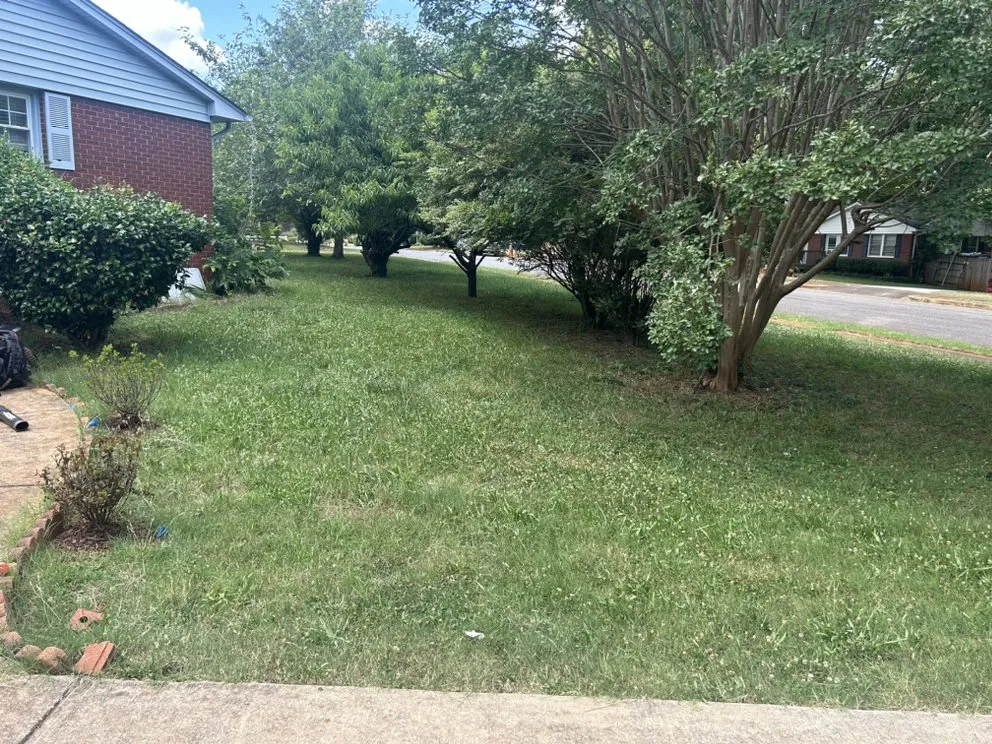 Custom landscape design experts serving Charlotte, NC - Simmons Lawn Care Solutions