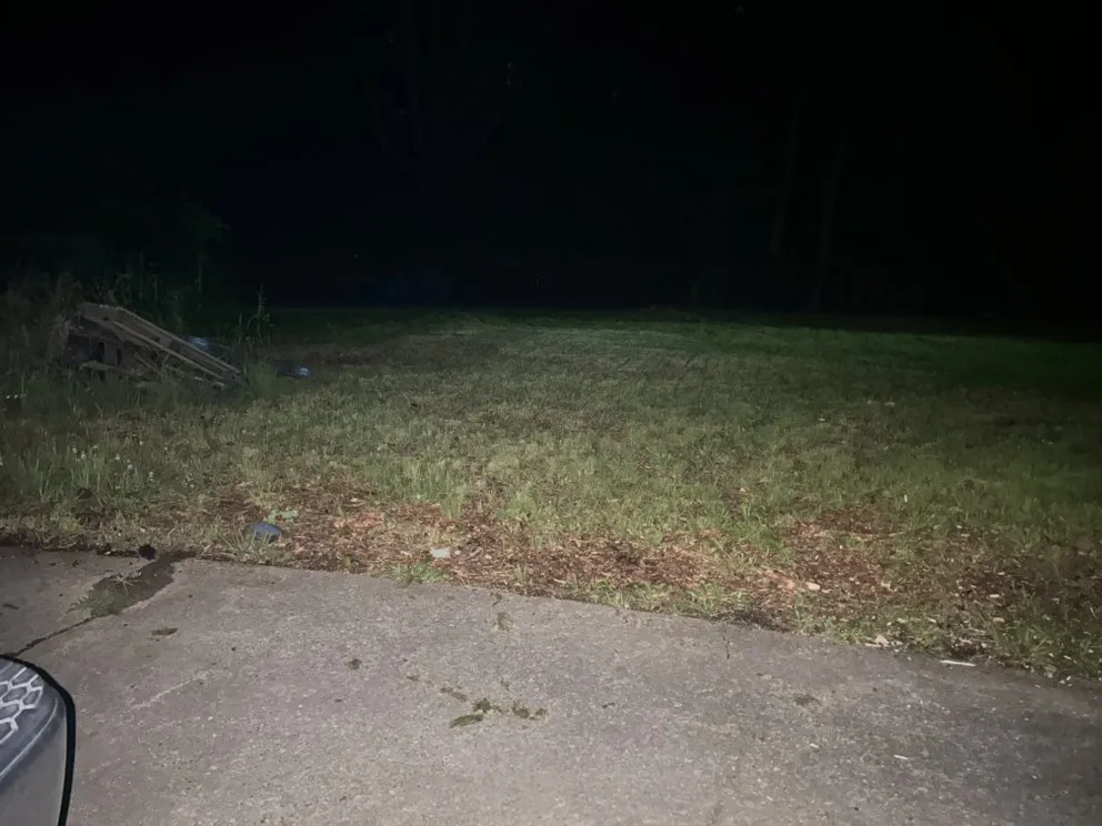 Custom lawn care service for year-round maintenance across Charlotte, NC - Simmons Lawn Care Solutions