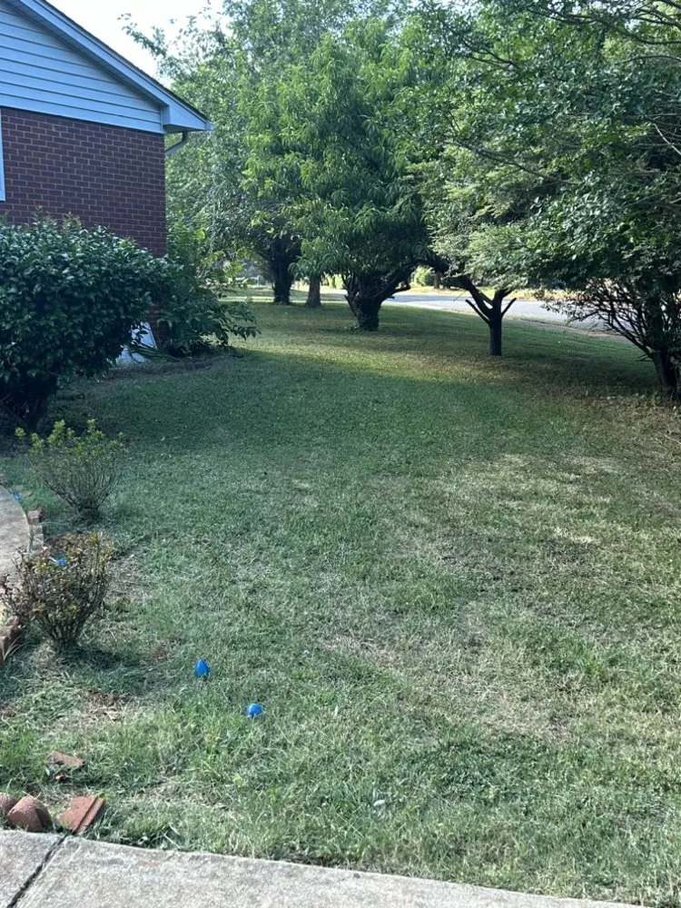 Professional lawn care service with custom design in Charlotte, NC by Simmons Lawn Care Solutions