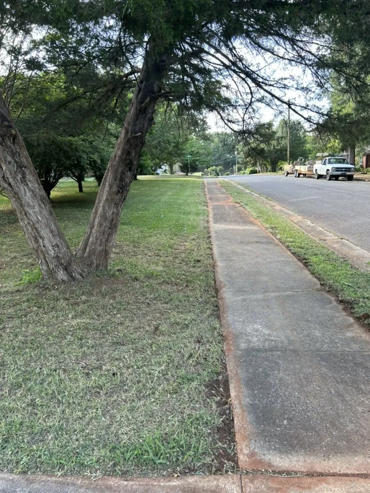 Professional yard cleanup service experts serving Charlotte, NC - Simmons Lawn Care Solutions