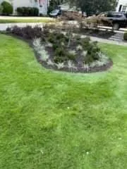 Top-rated residential landscaping for year-round maintenance in North Charleston, SC by Simmons N Son Landscaping