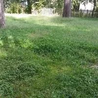 Affordable garden landscaping in Hopewell, VA - Simmons Outdoor Services