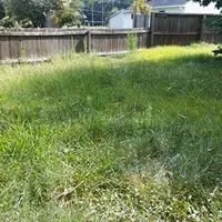 Local landscape installation in Hopewell, VA by Simmons Outdoor Services