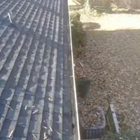 Professional yard cleanup service experts serving Hopewell, VA - Simmons Outdoor Services