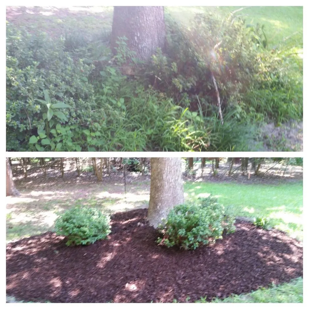 Custom lawn care service in Hopewell, VA by Simmons Outdoor Services