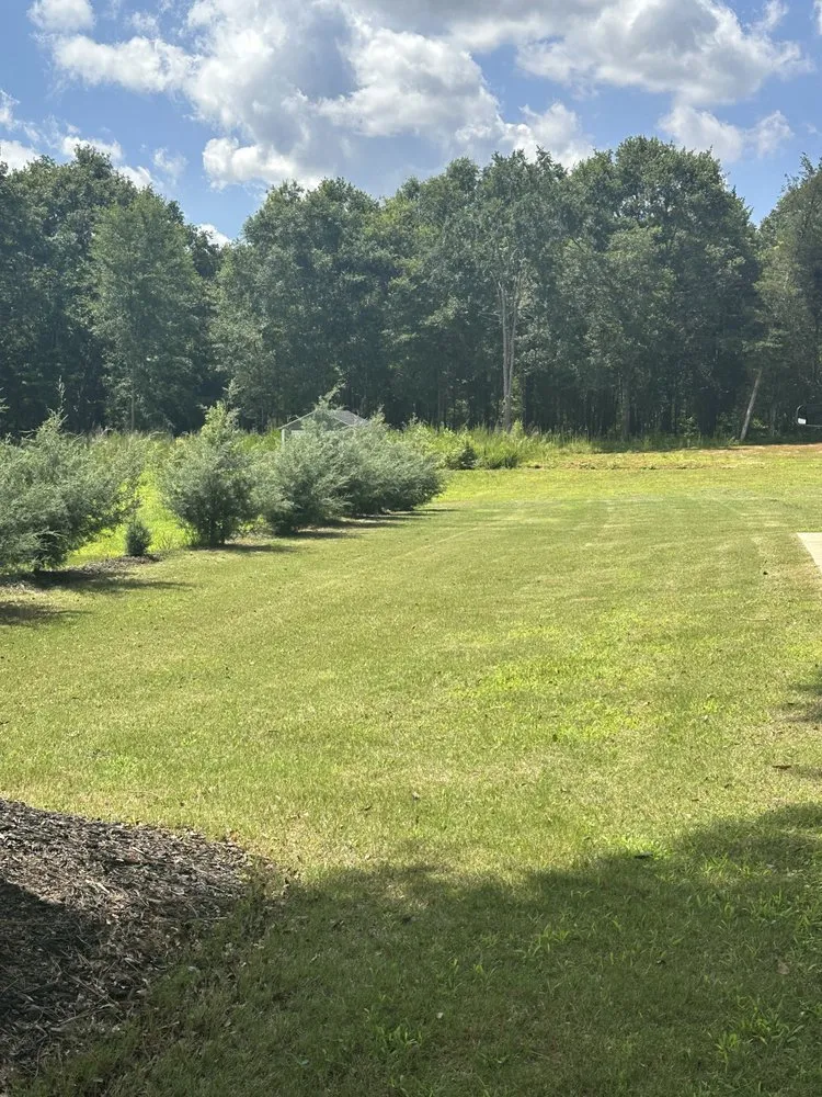 Professional outdoor landscaping in Starr, SC - Simmons Services & Repairs
