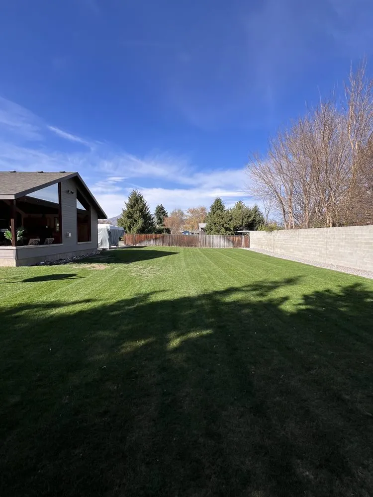 Local yard cleanup service experts serving Wenatchee, WA - Simmons Solutions