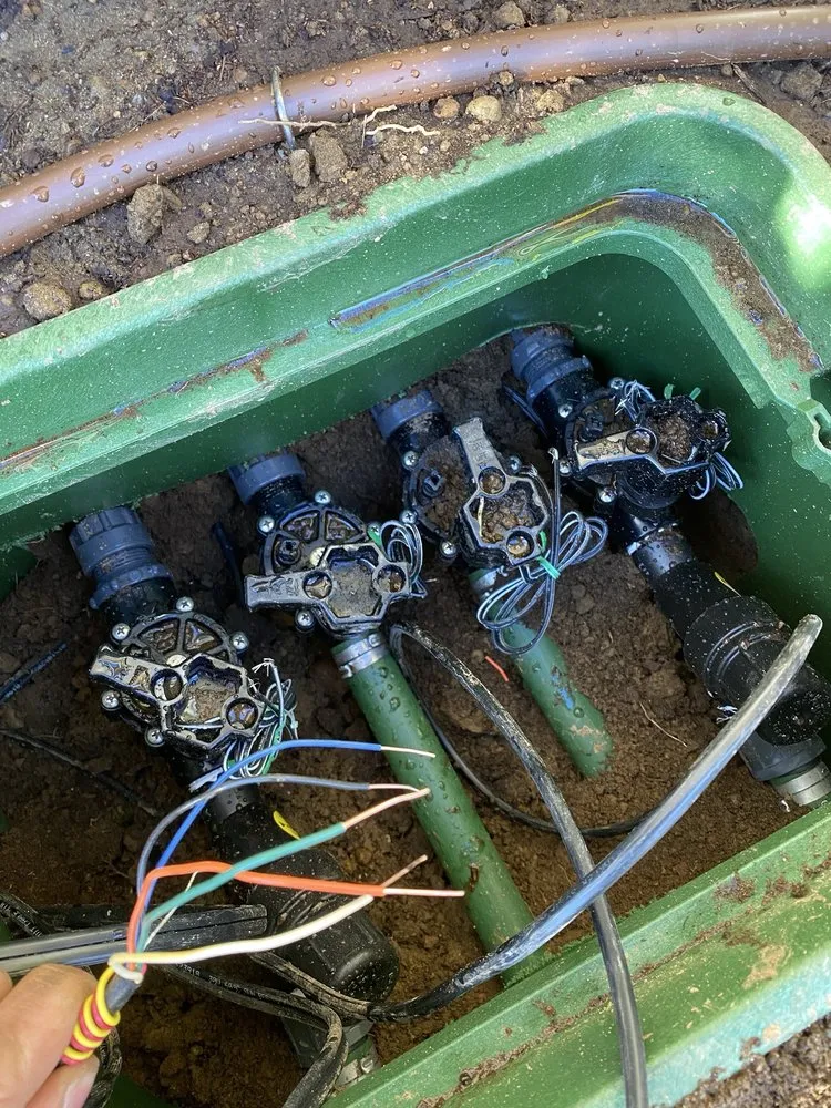 Top-rated yard maintenance experts serving Snohomish, WA - Simmons Sprinkler Service