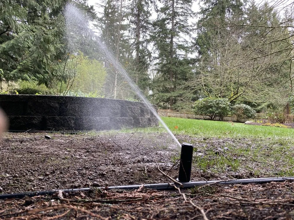 Affordable lawn care service in Snohomish, WA - Simmons Sprinkler Service