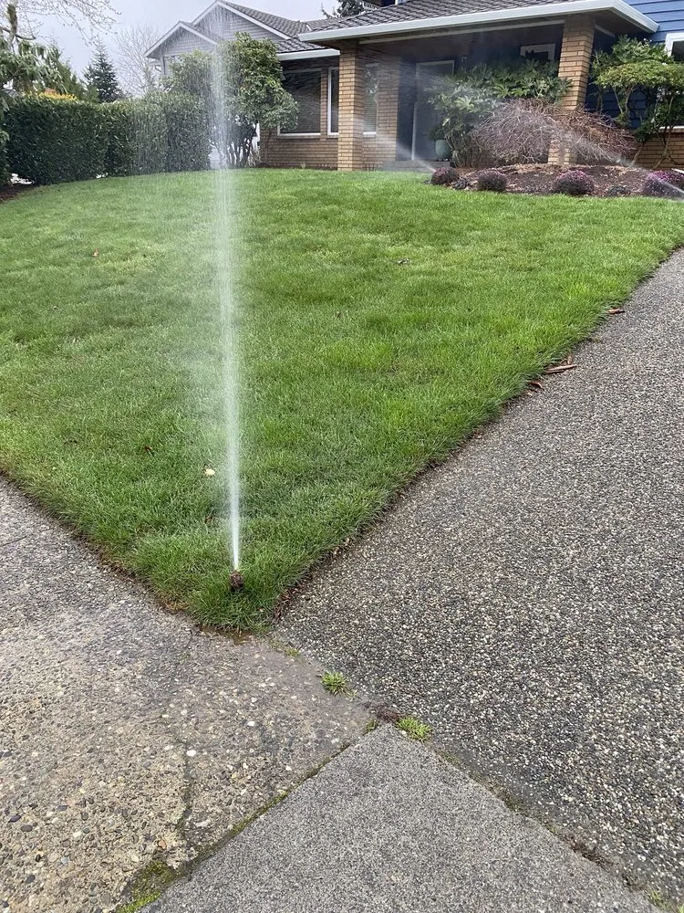 Professional outdoor landscaping in Snohomish, WA by Simmons Sprinkler Service