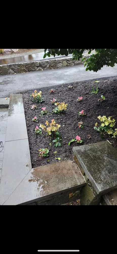 Reliable yard cleanup service for homes across Snohomish, WA - Simmons Sprinkler Service