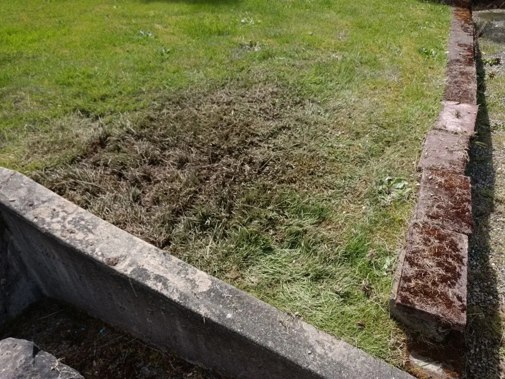 Local landscape design for residential properties across Snohomish, WA - Simmons Sprinkler Service