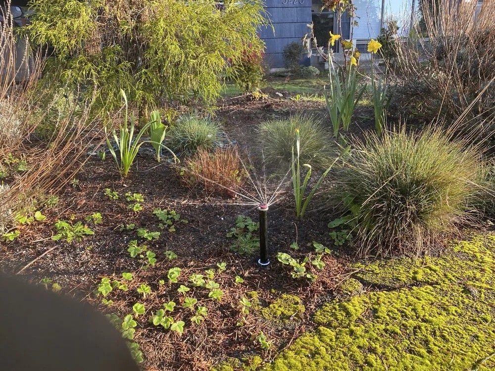 Expert landscape installation for homes across Snohomish, WA - Simmons Sprinkler Service