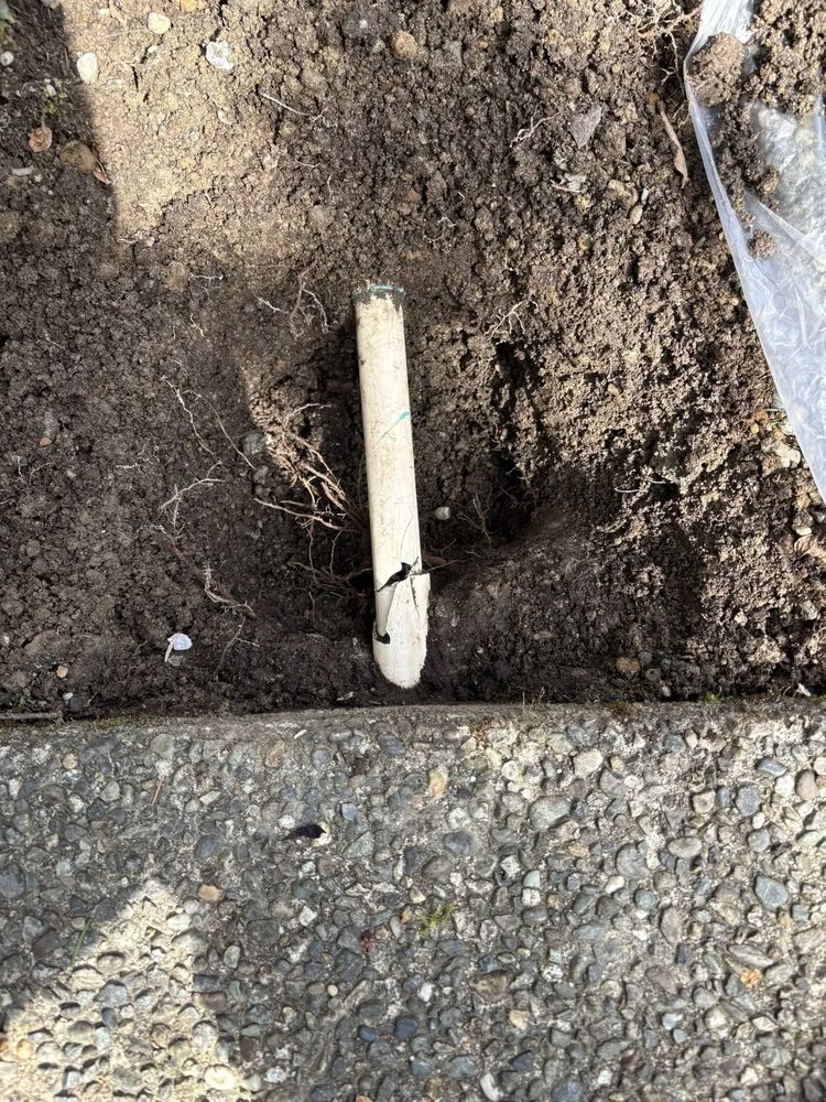 Top-rated landscaping services for homes across Snohomish, WA - Simmons Sprinkler Service