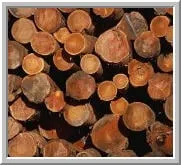 Professional lawn care service experts serving Hampton, VA - Simmons Tree Care