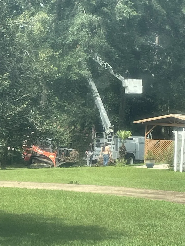 Affordable lawn mowing service in Summit, MS - Simmons Tree Service