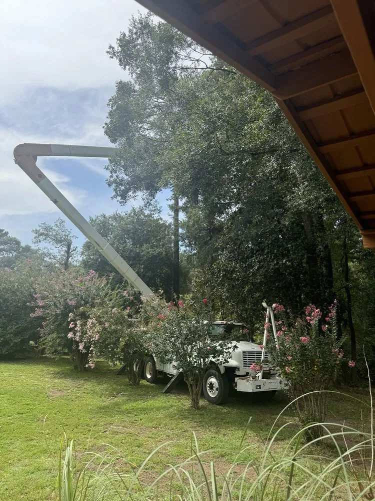 Reliable landscape design experts serving Summit, MS - Simmons Tree Service