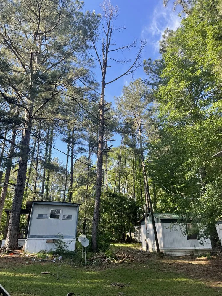 Trusted residential landscaping for year-round maintenance in Summit, MS by Simmons Tree Service