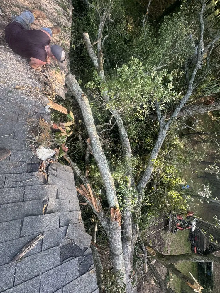 Custom landscaping services in Summit, MS by Simmons Tree Service