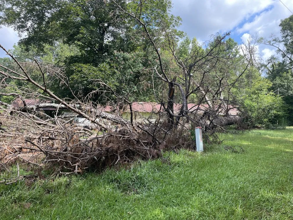 Expert landscaping services near you in Summit, MS by Simmons Tree Service