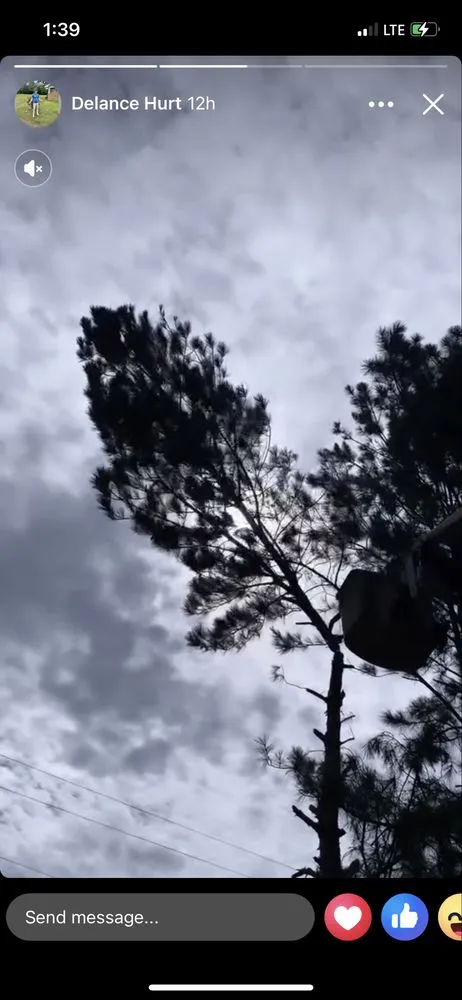 Local landscape installation experts serving Summit, MS - Simmons Tree Service