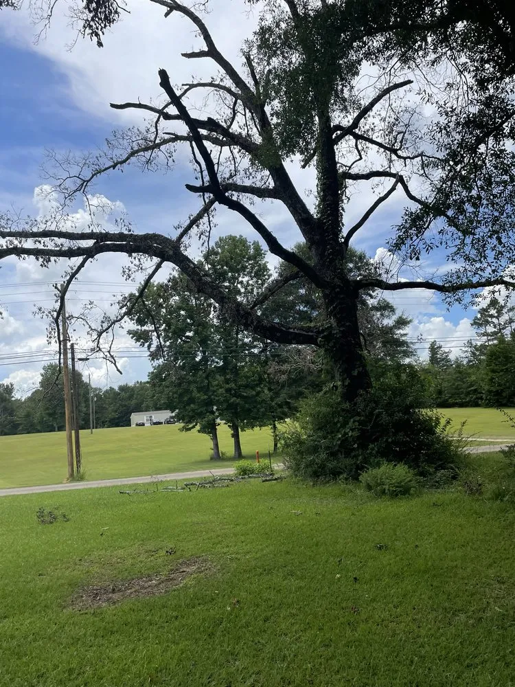 Trusted outdoor landscaping in Summit, MS - Simmons Tree Service