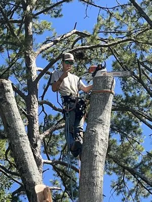 Simmons Tree Service