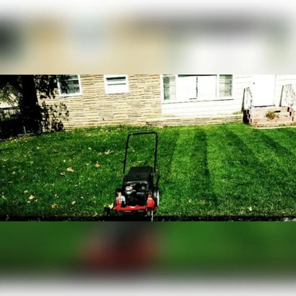 Local outdoor landscaping in Benton Harbor, MI - Simms Services