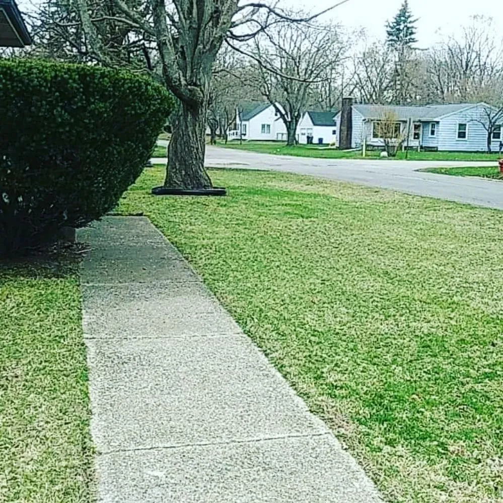 Expert yard cleanup service in Benton Harbor, MI by Simms Services