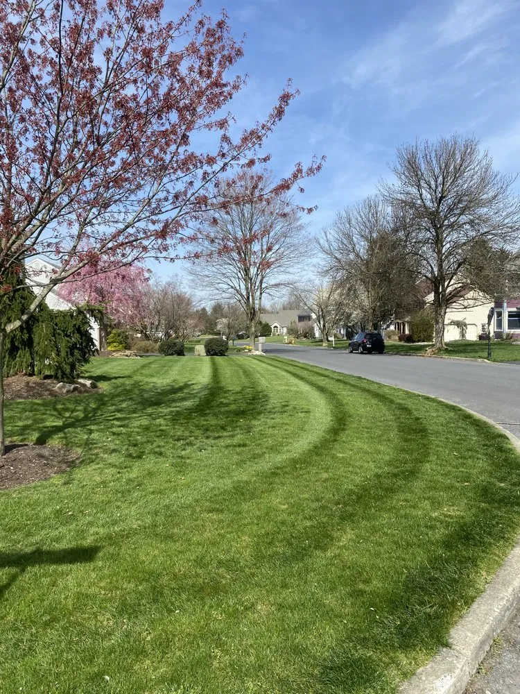 Local yard cleanup service in Berwick, PA by Simock-Jacoby Landscape and Design